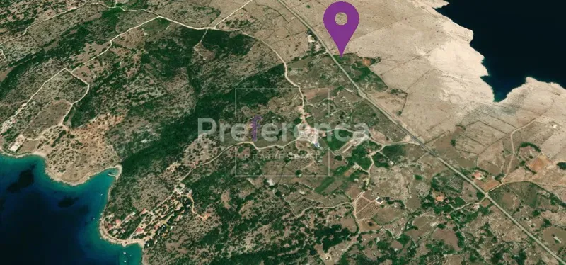 Novalja, Šonjevi stani - land with olive trees – 3
