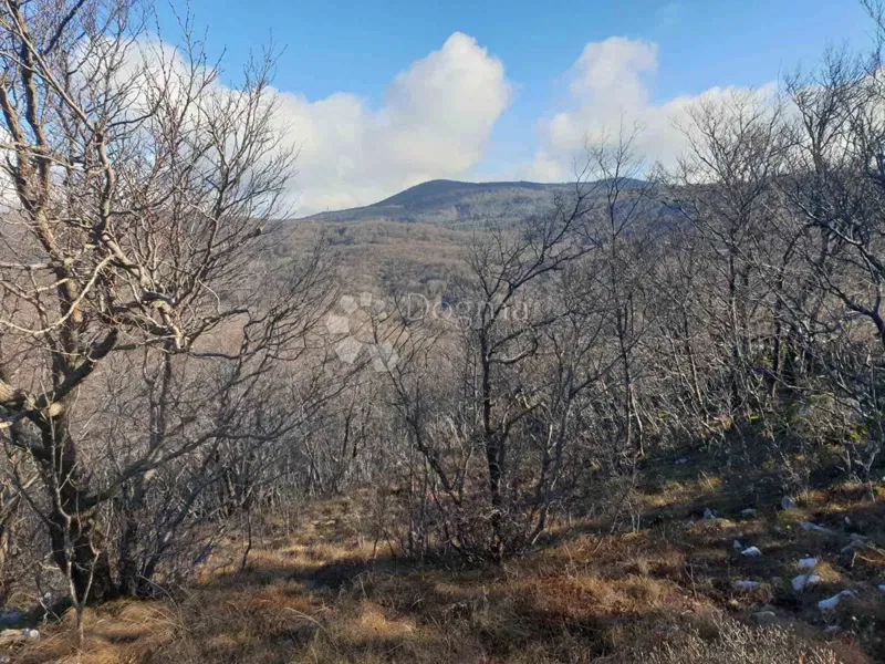 Land Hreljin, Bakar, 20.013m2 – 3