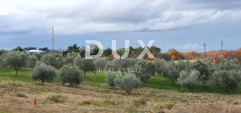 Land Buje, 1.020m2 – 3