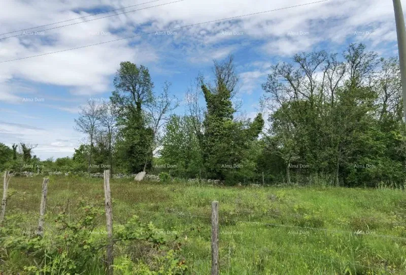 For sale: construction land in Višnjan. Ideal for building 20 vacation homes. – 2