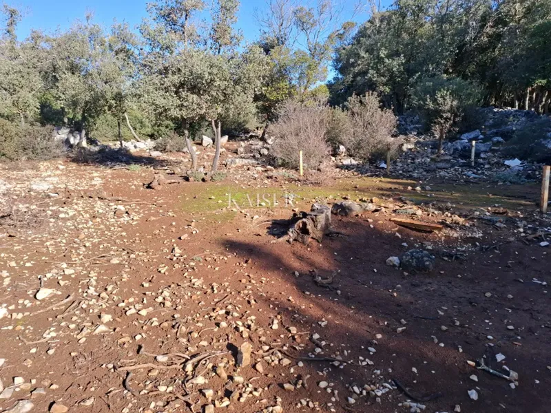 Terreni agricoli Punta Križa, Mali Lošinj, 4.584m2 – 2