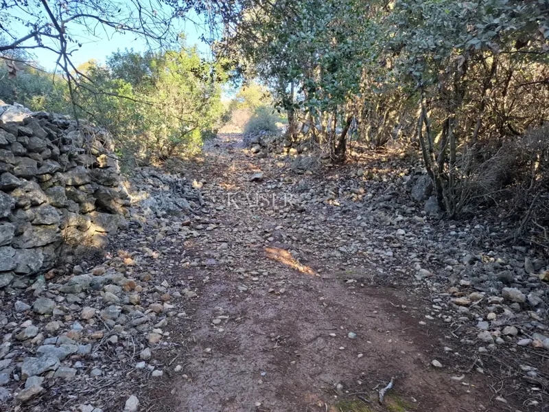 Terreni agricoli Punta Križa, Mali Lošinj, 4.584m2 – 3
