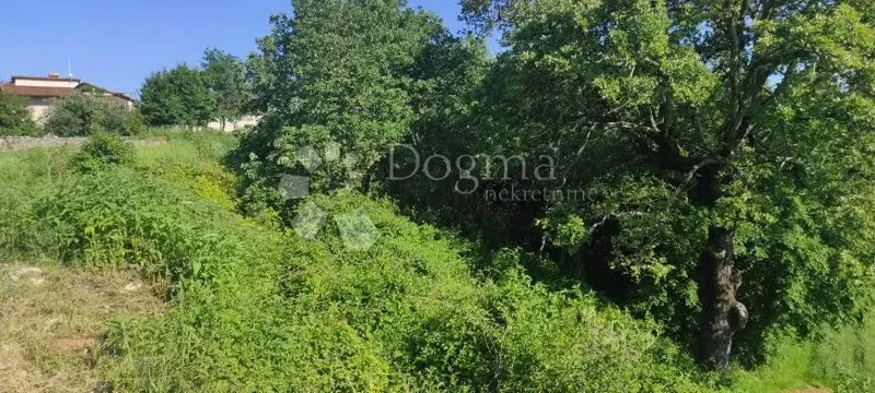 Działka Marići, Kanfanar, 4.370m2 – 3