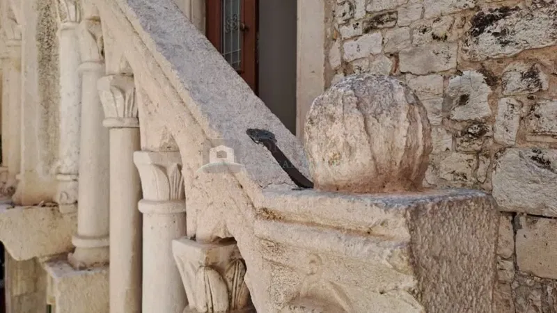 Appartamento Šibenik – 2