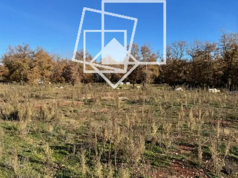Lovrečica, a forest with an area of ​​5796 sqm – 3