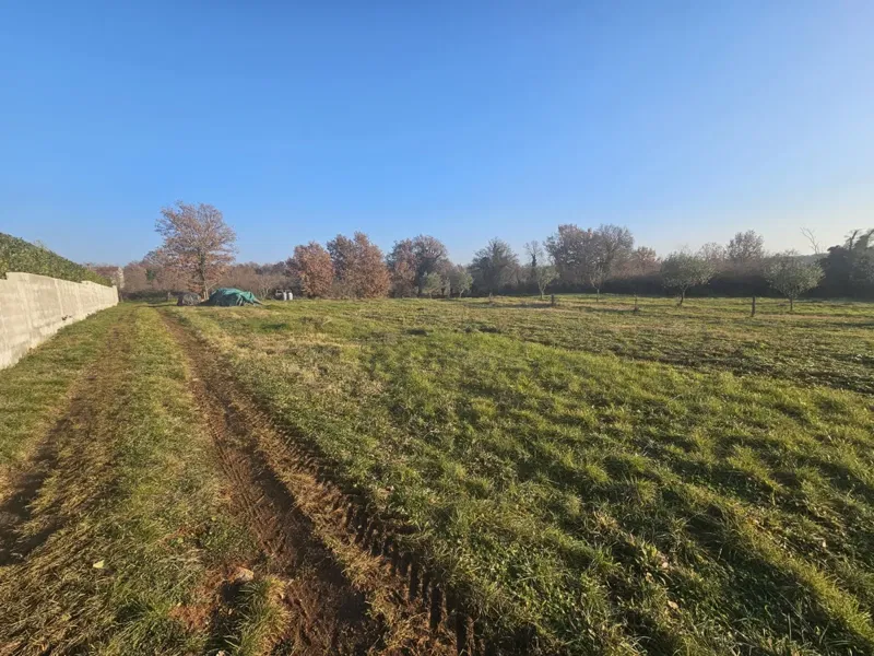 Terreno Žbandaj – 3