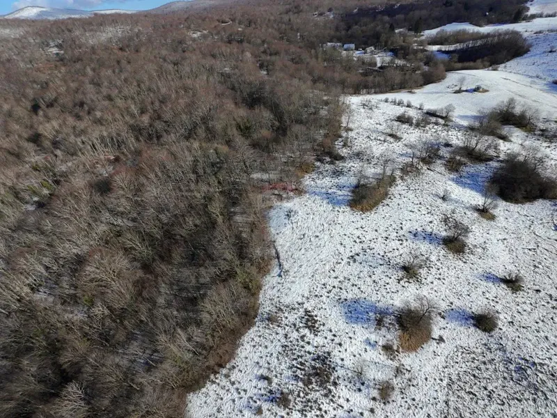 Vodoteč, Brinje – Hunters’ House with 8 Hectares of Land – 3