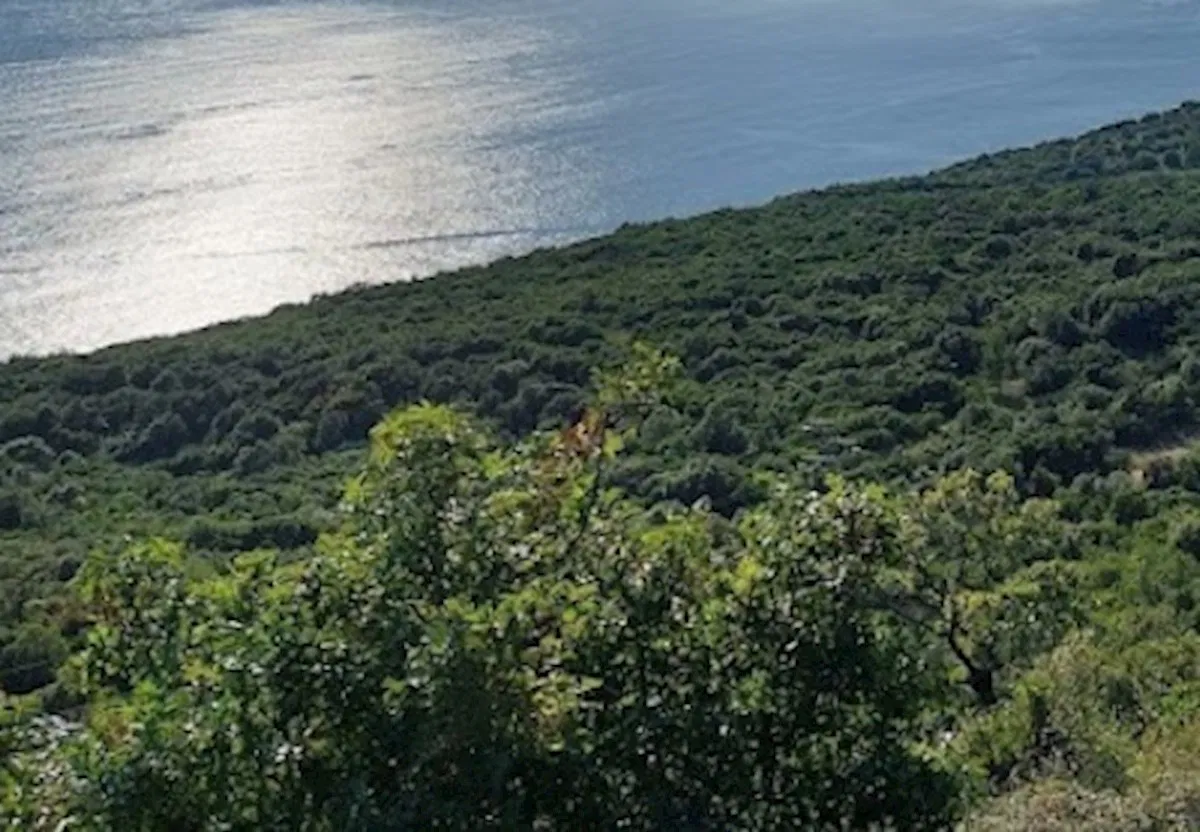 Cavtat (Dubrovačko-neretvanska županija), uz samo more- prodaje se građevinsko zemljište 38000 m2 u turističkoj zoni T1 T2
