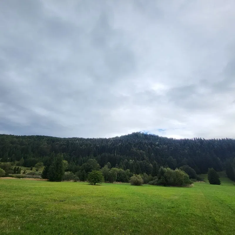 Grundstück Ravna Gora, 4.735m2 – 3
