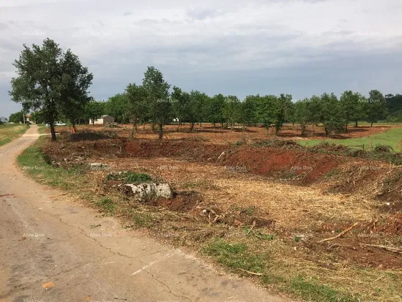 Near Porec! Building land with agricultural 39,000 M2! – 2