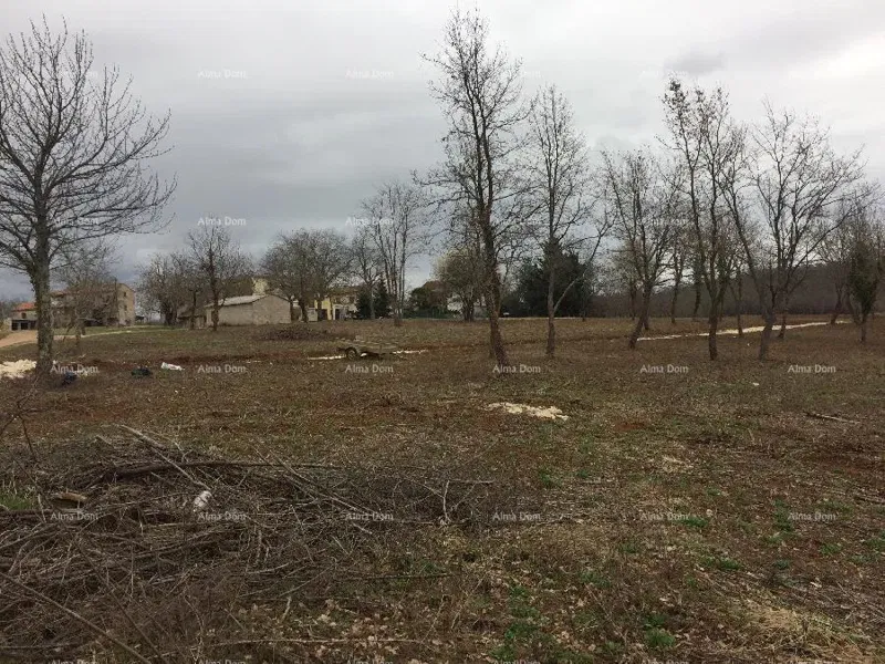 Near Porec! Building land with agricultural 39,000 M2! – 3