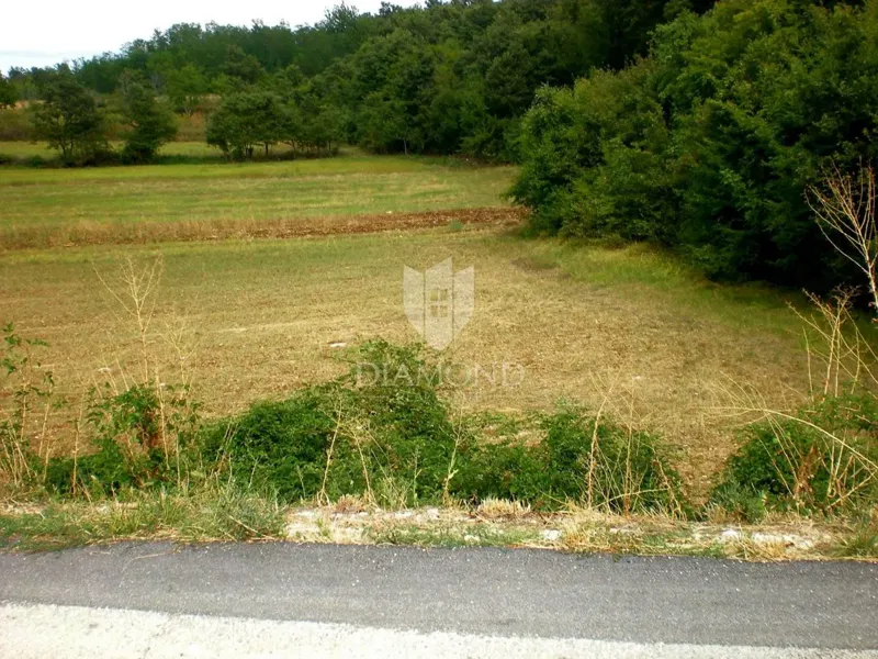 Ottimo terreno vicino a Canfanaro – 2