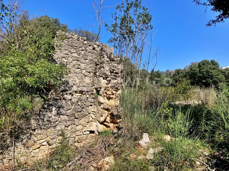 Rovigno, terreno boschivo di 11040m2 – 2
