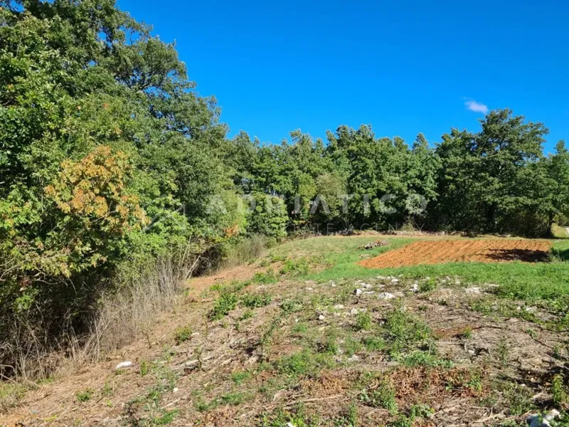 Gimino, dintorni, terreno edificabile residenziale - 1564m2 – 3