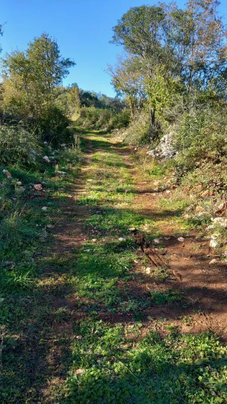 Zemljišče Peruški – 2