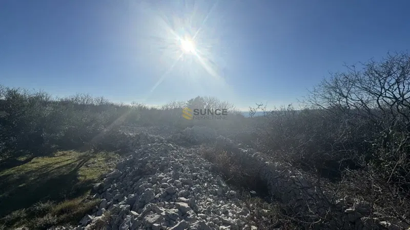 Nei dintorni della città di Krk, uliveto paesaggistico con vista sul mare! – 3