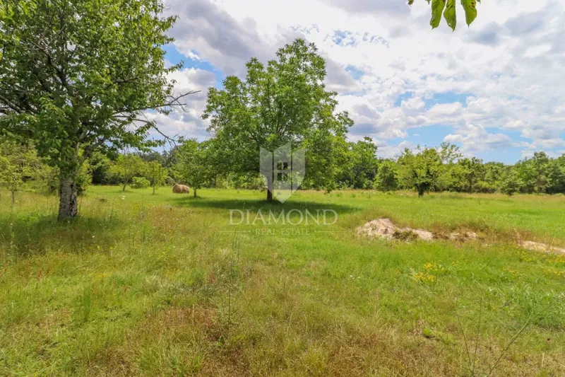 Žminj, surroundings, land ideal for new construction – 3