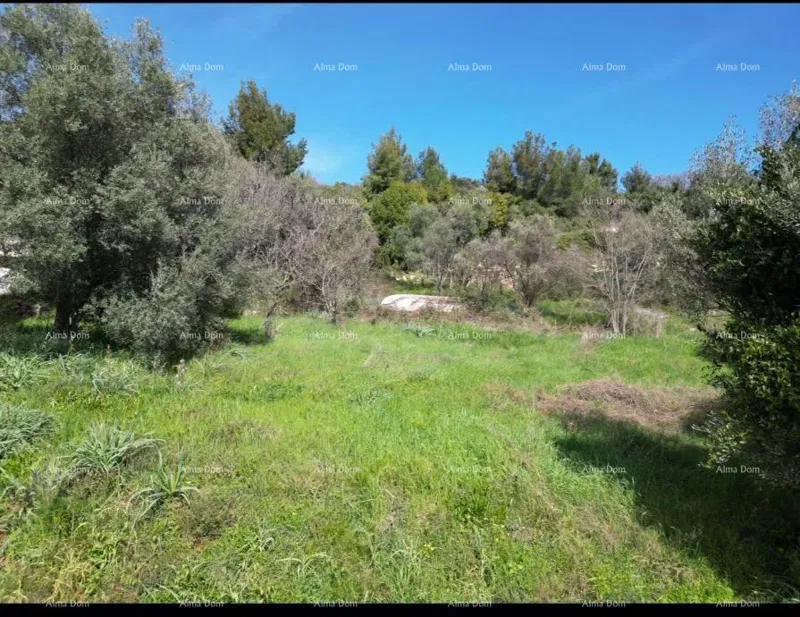 IN VENDITA: TERRENO EDIFICABILE CON PROGETTO – IDEALE PER INVESTITORI – 2