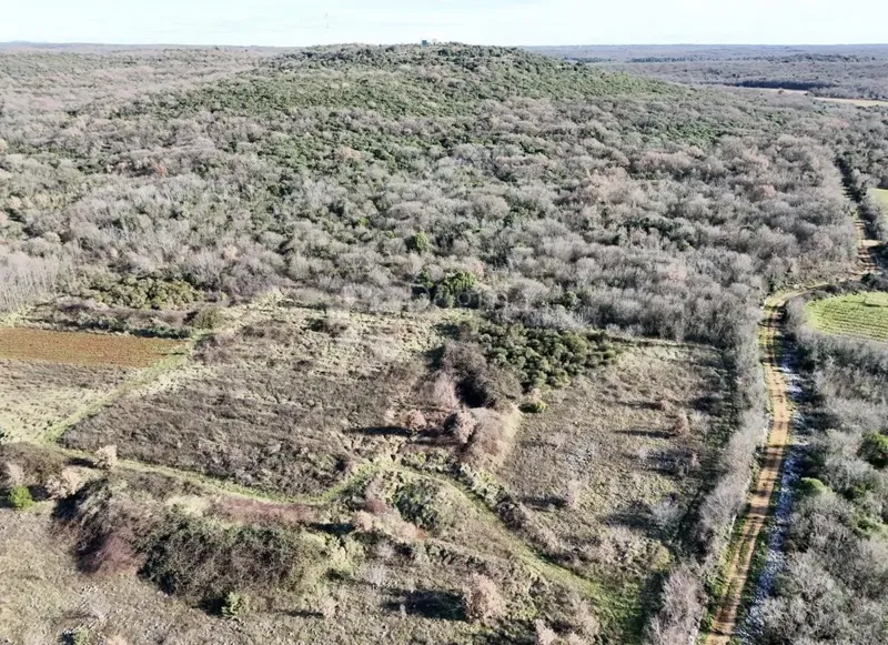 Agricultural land Bale, 15.257m2 – 2