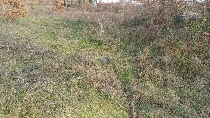Terreno edificabile Vodnjan, 2.417m2 – 2