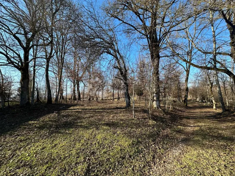 Agricultural land Lipe, Gospić, 13.813m2 – 2