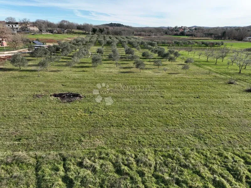 Teren budowlany Poreč, 5.700m2 – 3
