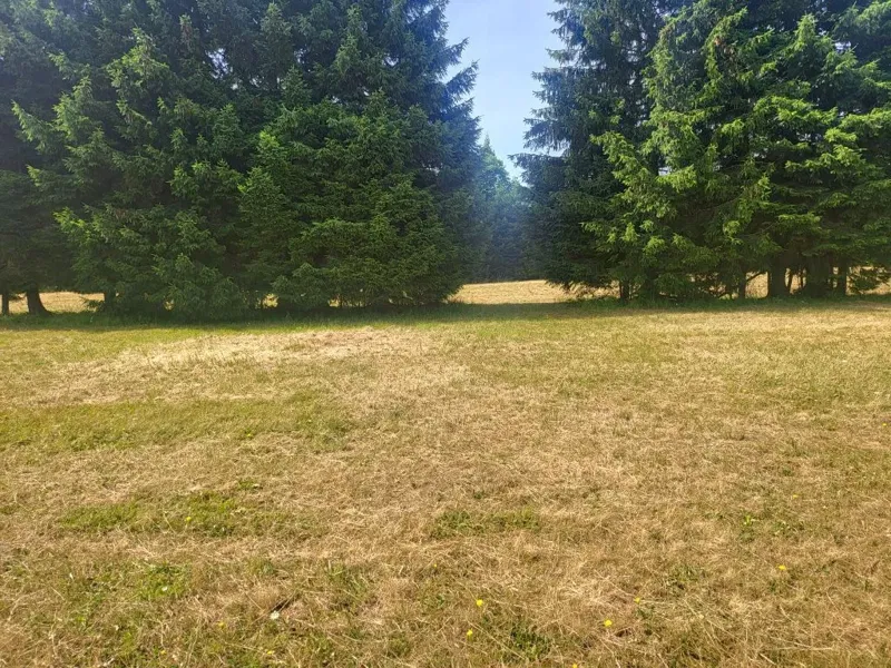 Terreno Sunger – 2