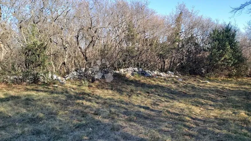 Land in the Vicinity of Labin, 3.100m2 – 2