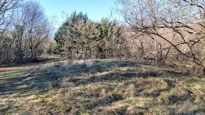 Land in the Vicinity of Labin, 3.100m2 – 3