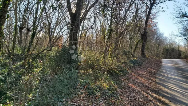 Ziemia rolna Snašići, Sveta Nedelja, 1.500m2 – 2