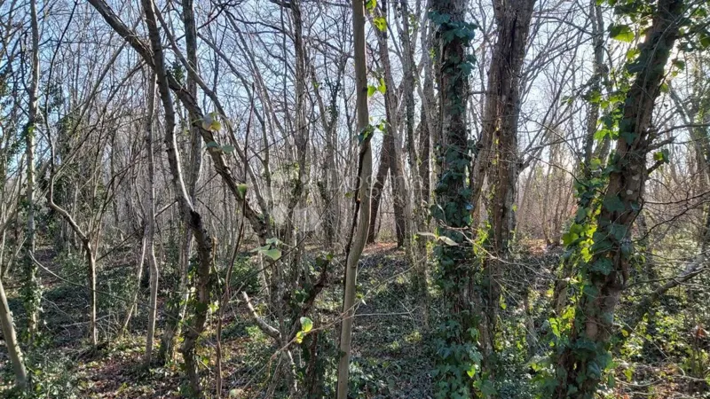 Ziemia rolna Snašići, Sveta Nedelja, 1.500m2 – 3