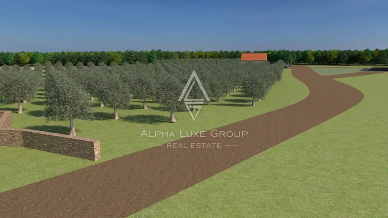 Istria, Bale, Agricultural land with development potential for sale – 2