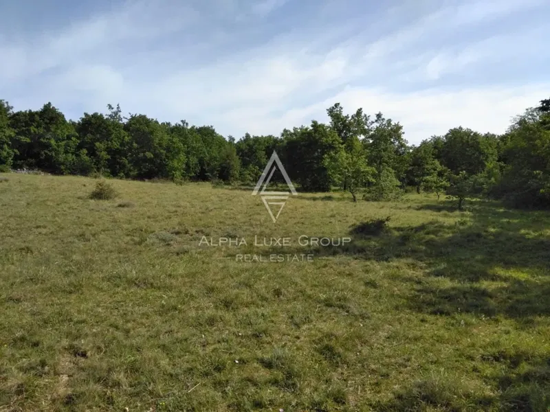 Terreno Poreč, 60.000m2 – 2