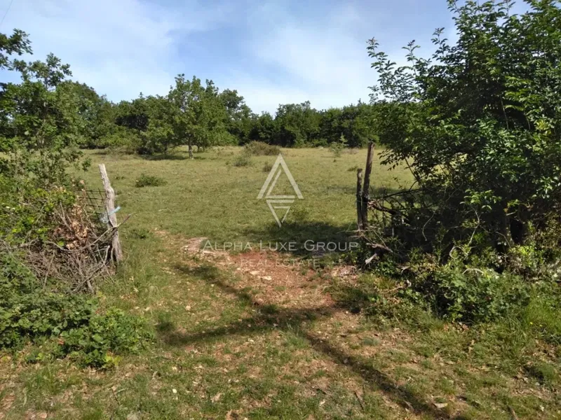 Terreno Poreč, 60.000m2 – 3