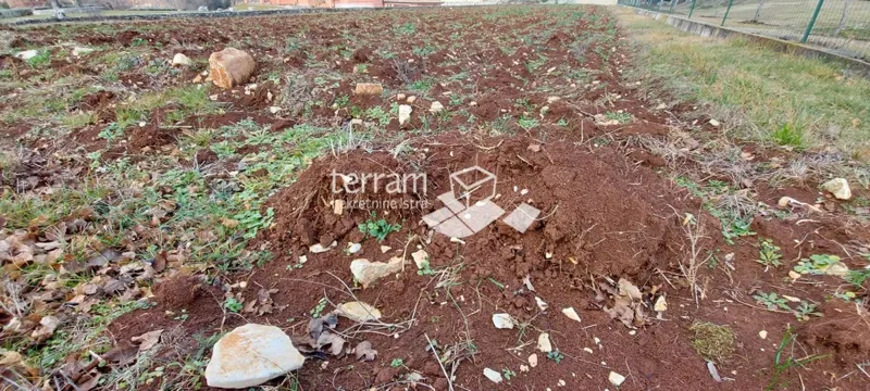 Istria, Barban, Hrboki, terreno edificabile 1505m2 #in vendita – 2