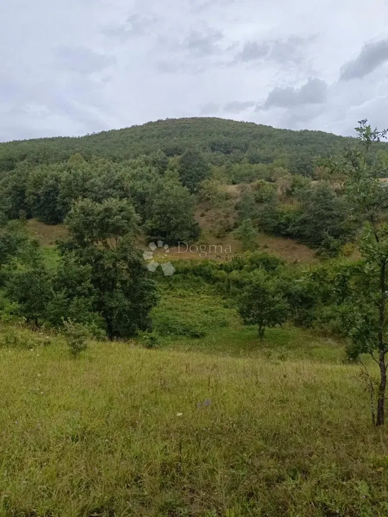 Terreno agricolo Doljani, Donji Lapac, 165.000m2