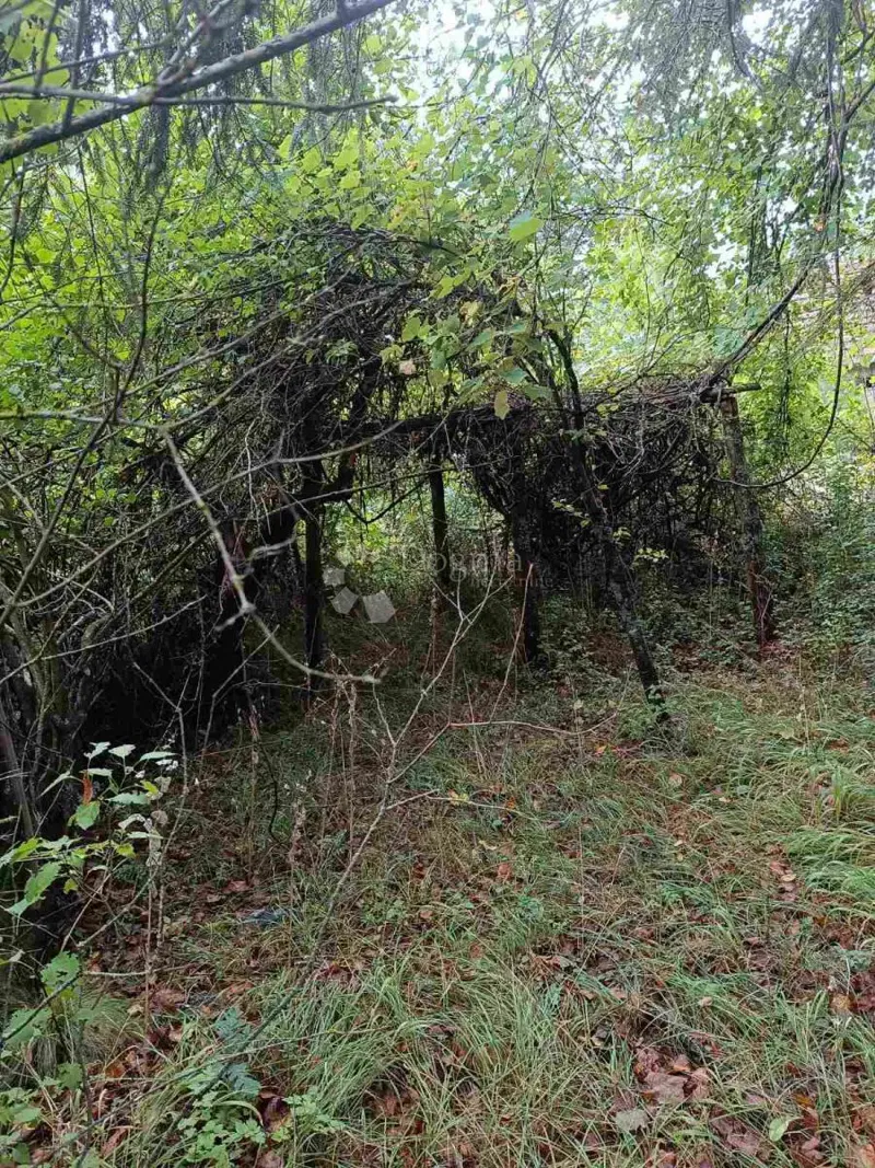 Agricultural land Doljani, Donji Lapac, 165.000m2 – 2