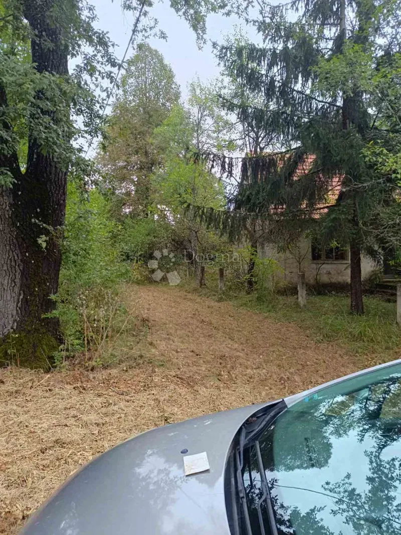 Agricultural land Doljani, Donji Lapac, 165.000m2 – 3