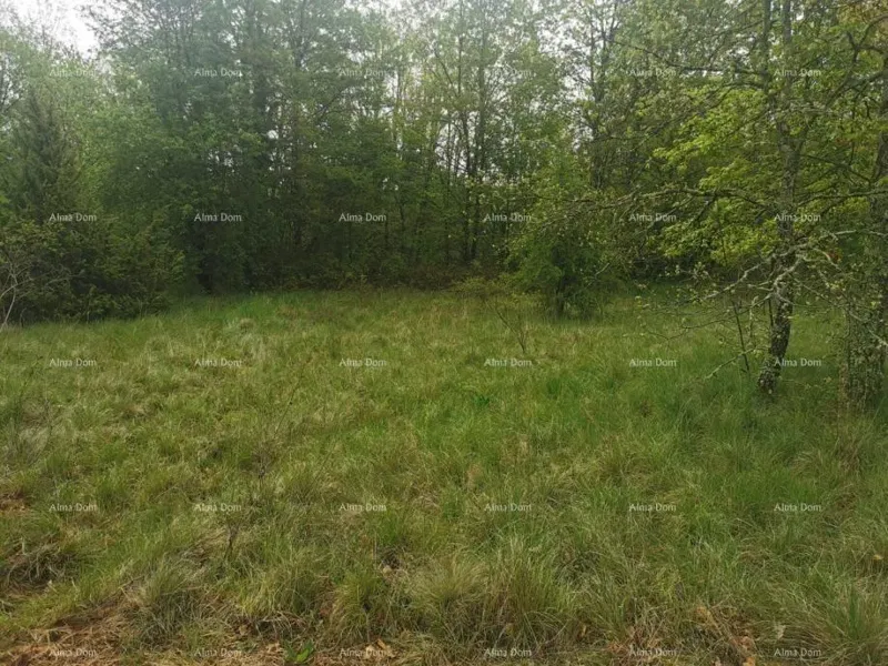 Building land Sveta Nedelja – 2