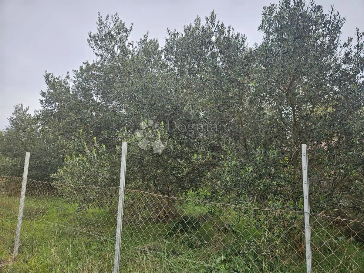 Ziemia rolna Polača, 2.278m2