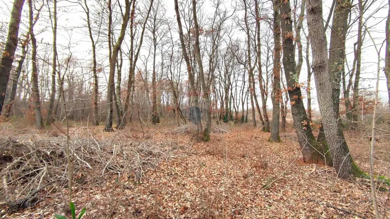 Non-structural plot Umag, 6.273m2 – 2