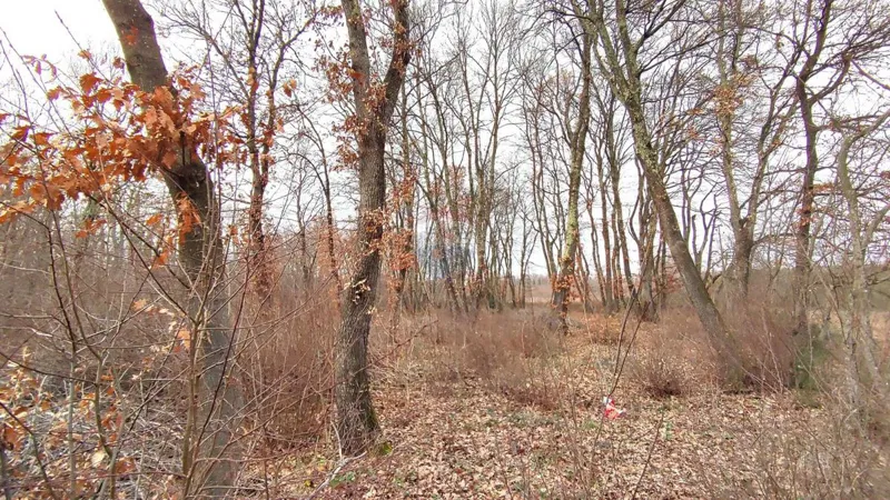 Non-structural plot Umag, 6.273m2 – 3
