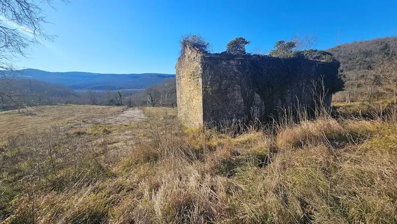 Immobili Istria, vendesi grande tenuta in collina, dintorni Buje - Buie – 2
