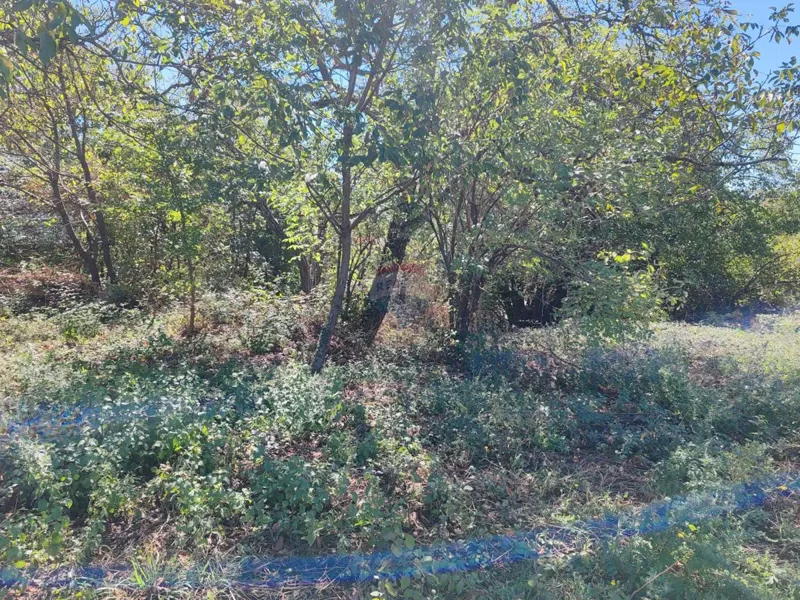Building plot Viškovo, 4.037m2 – 2