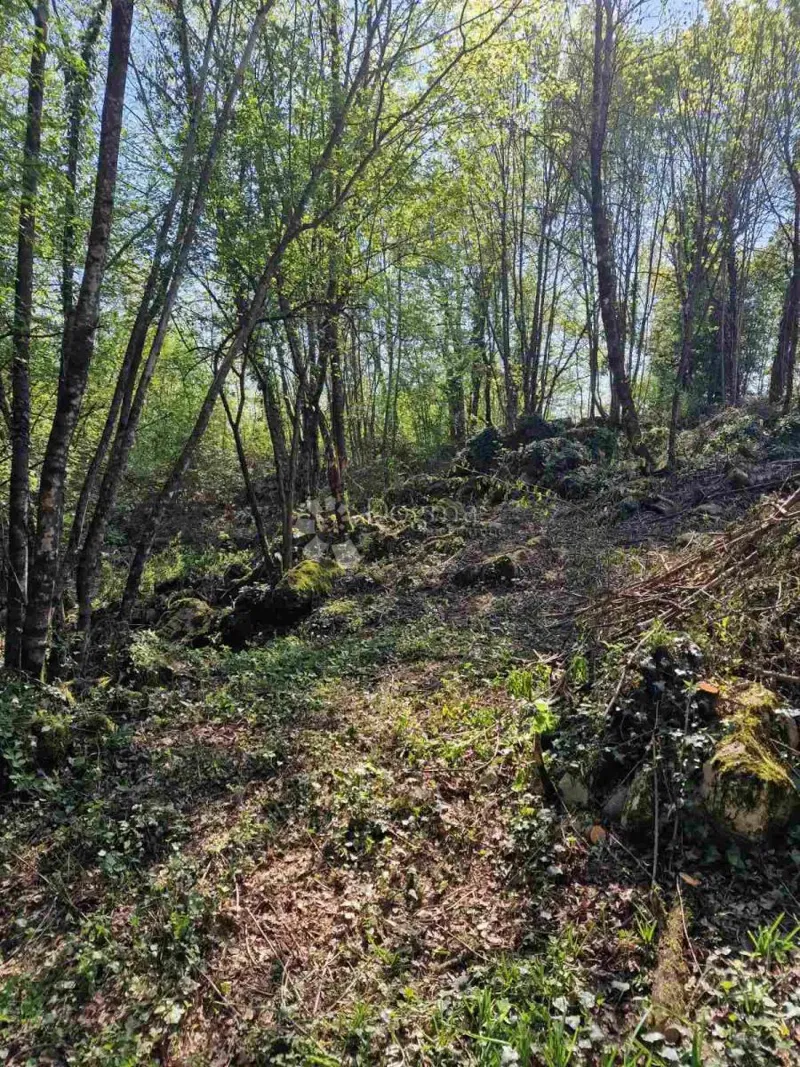 Terreno edificabile Veli Brgud, Matulji, 1.583m2 – 2