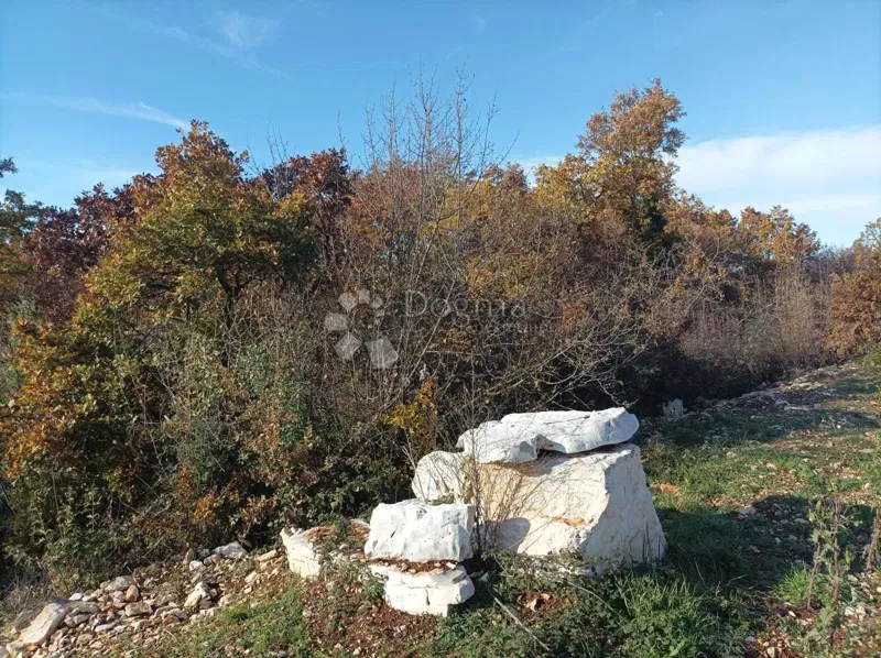 Terreno Golaš, Bale, 23.971m2 – 2