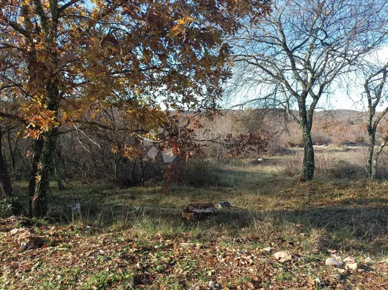 Terreno Golaš, Bale, 23.971m2 – 3