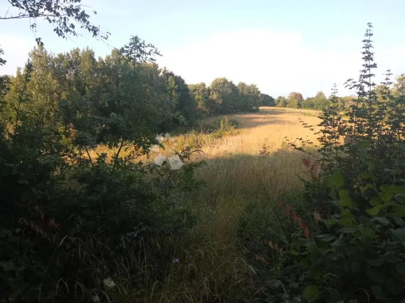 Föld Cere, Žminj, 2.269m2 – 2
