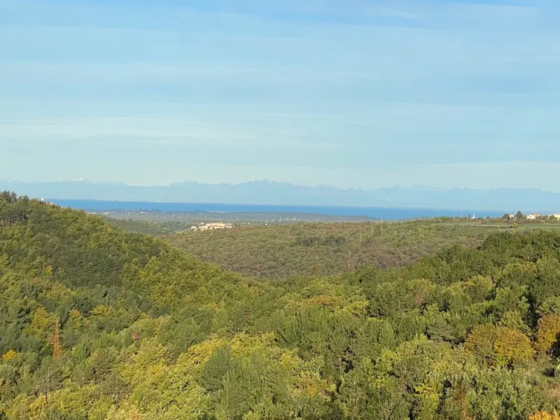 Immobiliare Istria, vendo terreno edificabile con vista mare, dintorni Buje-Buie – 2