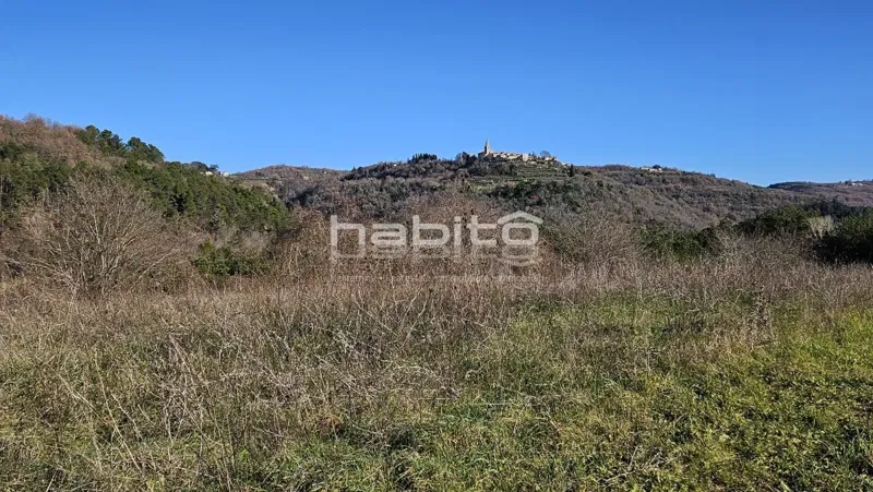 Dintorni di Grisignana - Attraente terreno edificabile con bellissima vista su Grisignana – 2